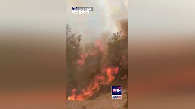 آتش سوزی در ترکیه | گسترش آتش‌ سوزی در جنگل‌ های ترکیه