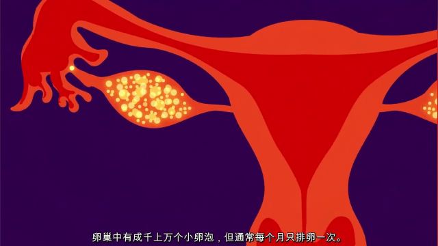بارداری به زبان چینی ساده شده