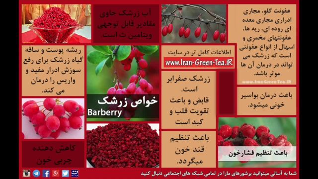 خواص درمانی زرشک + آب زرشک برای درمان سرماخوردگی