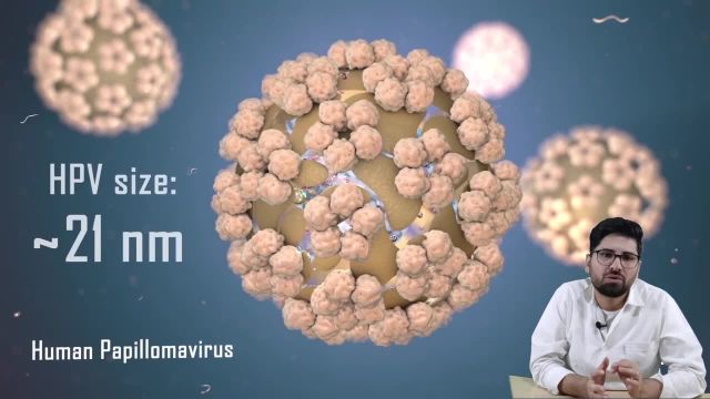 همه چیز درباره ویروس اچ پی وی (HPV) زگیل تناسلی | راه های انتقال، ساختار ویروس، پیشگیری، درمان و واکسن