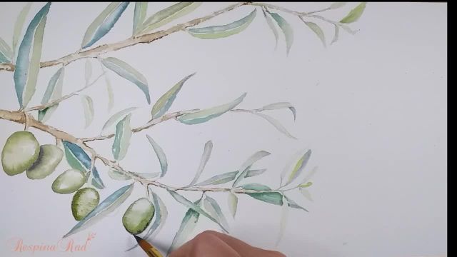 آموزش طراحی شاخه زیتون با رنگ آب برای مبتدیان