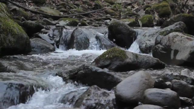ویدیوی طبیعت 30 ثانیه ای برای وضعیت واتساپ | ویدیوهای پس زمینه طبیعت