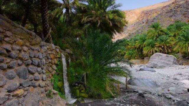 عمان شگفت انگیز | زیباترین مکان های طبیعی یک کشور عجیب و غریب عربی | قسمت 1