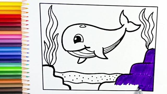 آموزش نقاشی حیوانات |آموزش نقاشی دلفین برای بچه ها