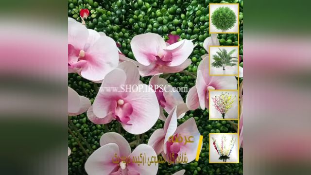 لیست شاخه گل مصنوعی ارکیده 7 گل صورتی رنگ| فروشگاه ملی