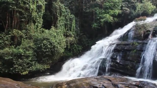 ویدیو وضعیت واتساپ طبیعت با صدای طبیعت برای آرامش