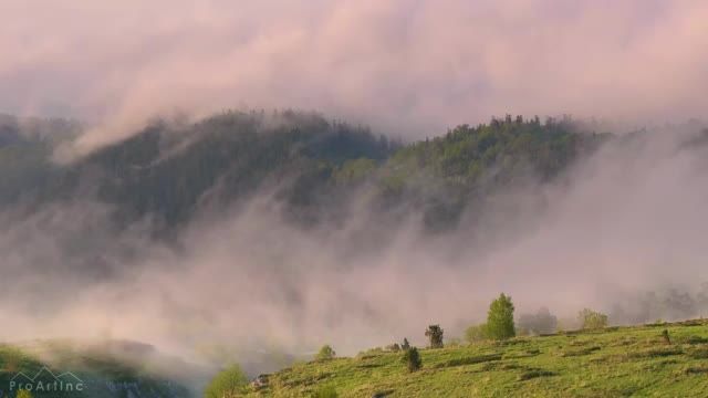 آهنگ آرامش بخش پرندگان و صدای جیرجیرک | مه در کوه های قفقاز شمالی، روسیه