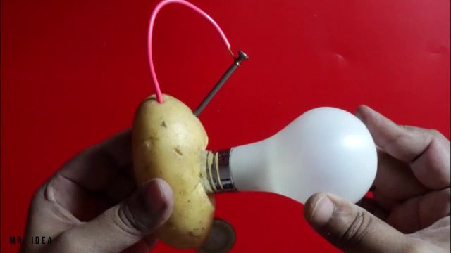 روشن كردن لامپ با سیب زمینی