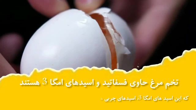 اگر روزی یک تخم مرغ بخورید چه اتفاقی در بدن شما می افتد!