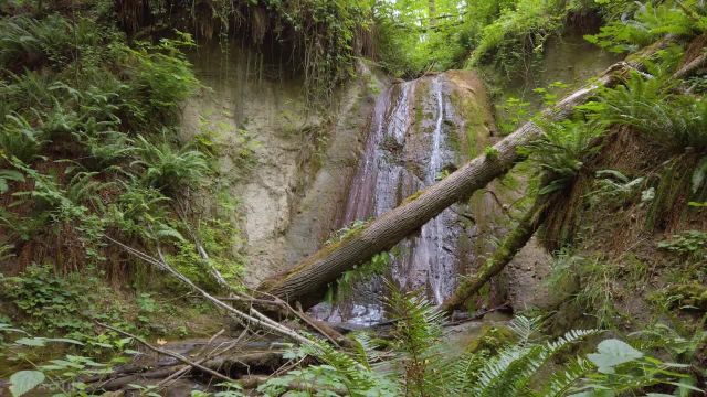 آبشار جنگلی  | 3 ساعت صدای آرامش بخش آبشار با صدای آواز پرندگان | آرامش در آب