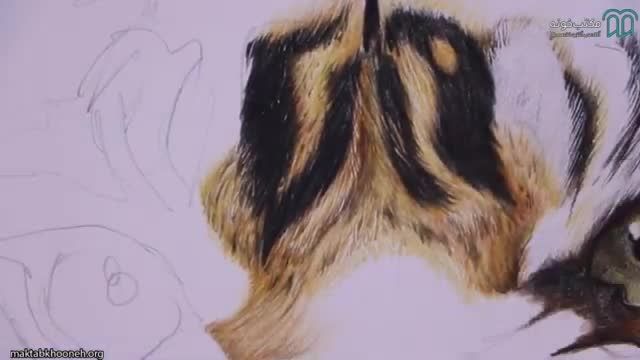 آموزش کشیدن تابلو حیوان از پایه تا پیشرفته با مداد رنگی - قسمت 4
