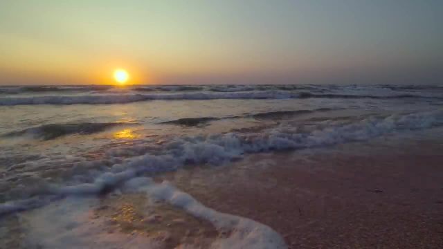 صداهای آرامش بخش دریا در طلوع خورشید | 8 ساعت امواج دریا با مرغ های دریایی