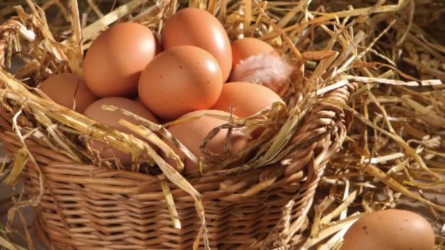 خواص جالب تخم مرغ برای سلامتی بدن