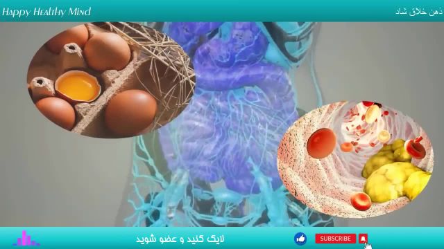 مصرف تخم مرغ و رابطه تکان دهنده آن با بیماری های قلبی
