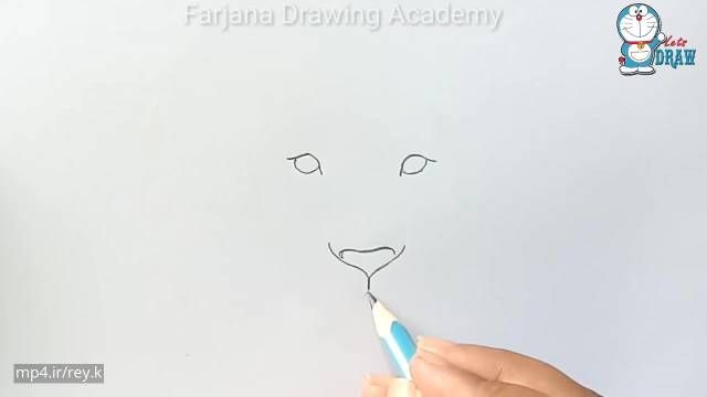 آموزش نقاشی حیوانات | چهره شیر