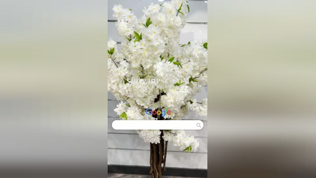 لیست درختچه تزیینی شکوفه پخش از فروشگاه ملی ارتفاع 180 سانتیمتر
