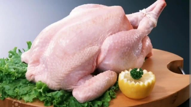 روش هورمون گیری مرغ با 3 ترفند ساده و آسان