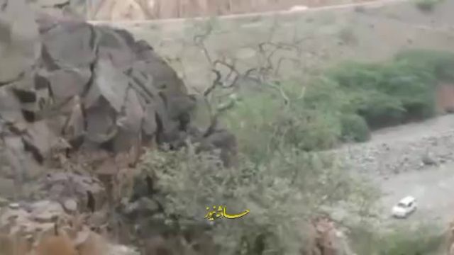ویدئویی از کشف یک مار غول پیکر 15 متری در عراق