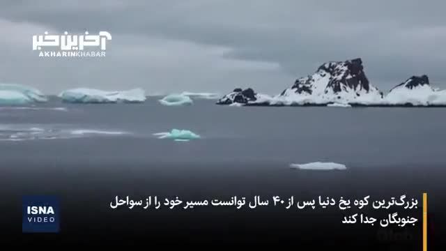 حرکت بزرگترین کوه یخی جهان بعد از 40 سال