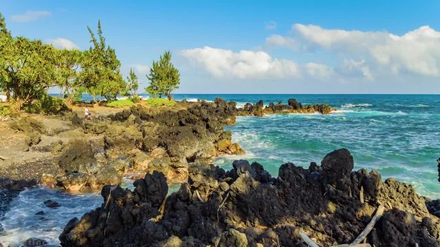 سواحل گرمسیری جزیره مائویی | ویدیوی آرامش بخش با صدای امواج و آواز پرندگان | قسمت 3
