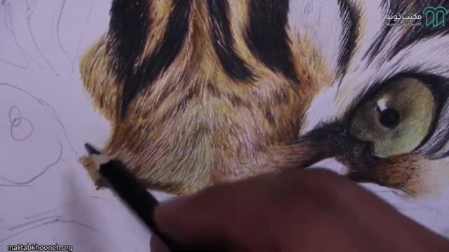 آموزش کشیدن تابلو حیوان با تکنیک مداد رنگی بصورت کامل- قسمت 5