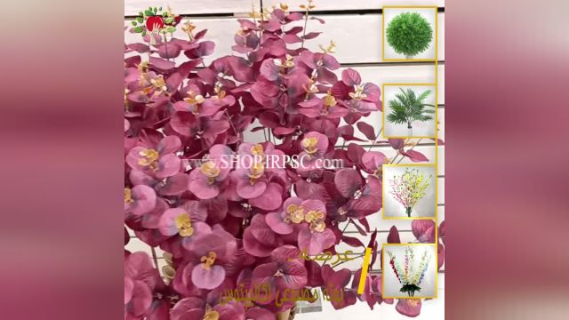 لیست شاخه ارکیده مصنوعی بنفش رنگ 10 گل | فروشگاه ملی