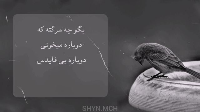 کلیپ برای هیشکی نخون پرنده ی غمگین محسن چاوشی  + متن کامل آهنگ