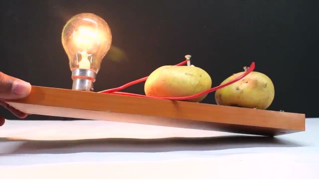 چگونه از سیب زمینی برق 220 ولت بگیریم ؟ | ویدیو