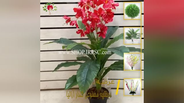 لیست  شاخه گل مصنوعی آمالیس قرمز رنگ | فروشگاه ملی
