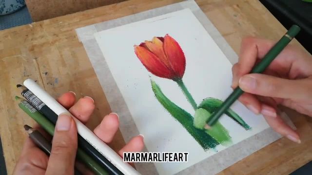 آموزش مقدماتی نقاشی با پاستل نرم و روش کشیدن گل لاله