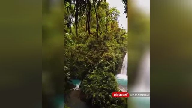 کلیپ طبیعت زیبای در وسط جنگل بارانی «کاتاراتا دل تورو»، کاستاریکا