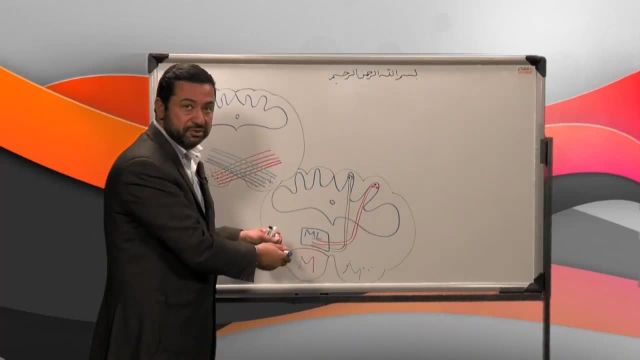 آموزش جامع و کامل نوروآناتومی | جلسه پنجم (1) | بصل النخاع (Medula Oblongata)