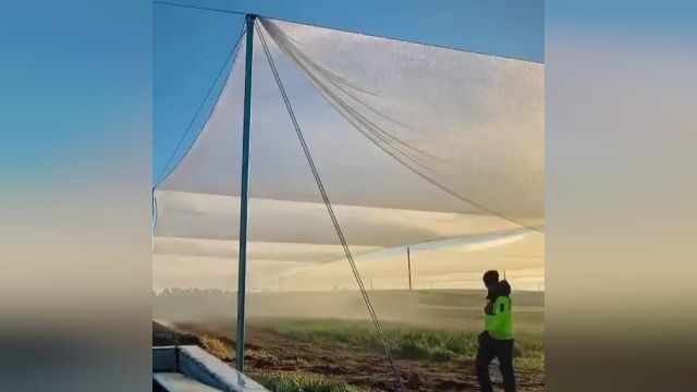 ویدیویی از تولید باران و تگرگ با چادر برافراشته در مزرعه