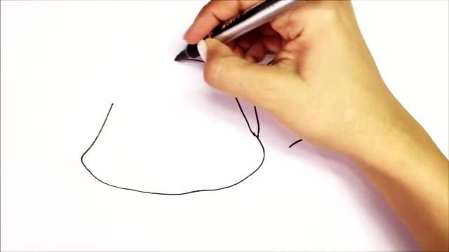 آموزش  نقاشی لاک پشت برای کودکان