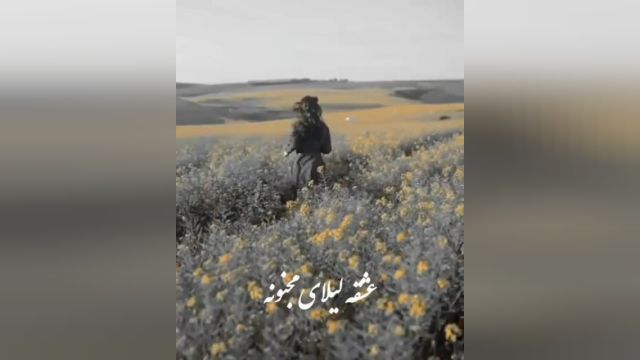 کلیپ لیلی بی مجنونش شهرام شکوهی