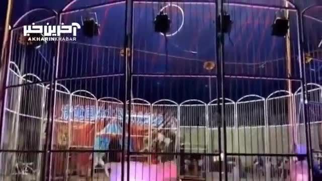 حمله شیر وحشی به مربی سیرک در چین