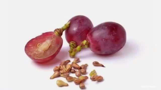 چگونه انگور را از طریق بذر تکثیر کنیم؟