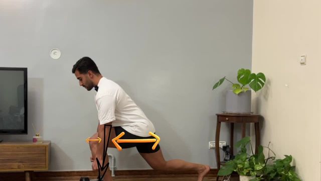 بررسی زوایای مختلف برای عضلات متفاوت | آموزش حرکت لانچ و دمبل