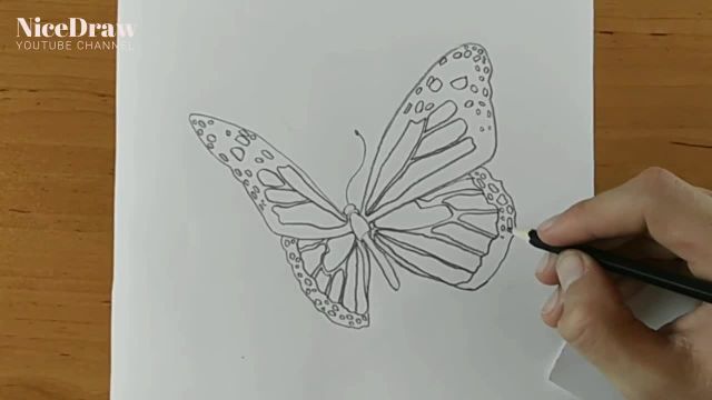 بر هنر طراحی پروانه با تکنیک های طراحی ساده با مداد مسلط شوید