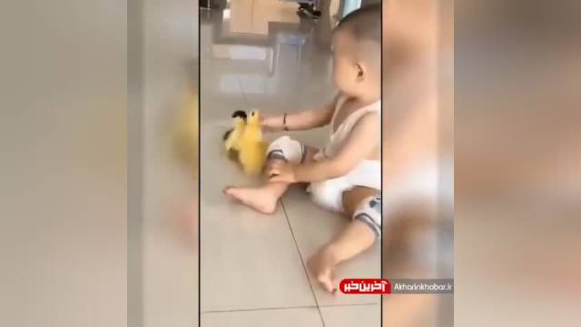 کلیپ کودکانه با مزه | بازی کردن کودک با جوجه اردک هایش