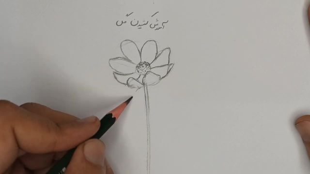 آموزش ساده نقاشی گل با مداد