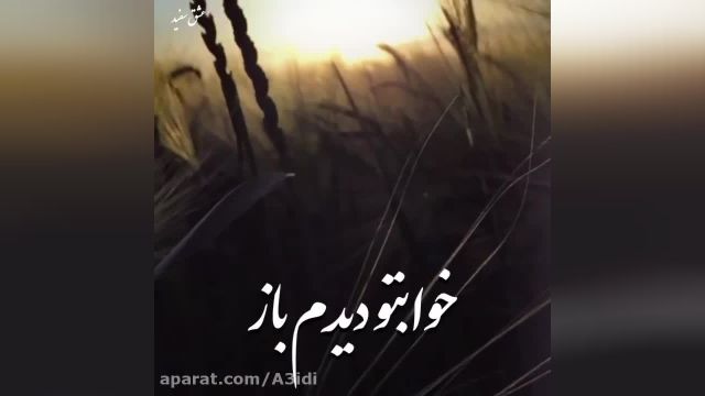 موزیک ویدیو احساسی گل مریم رضا بهرام