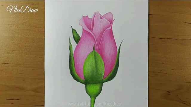 آموزش طراحی گل رز به روش ساده با مداد رنگی