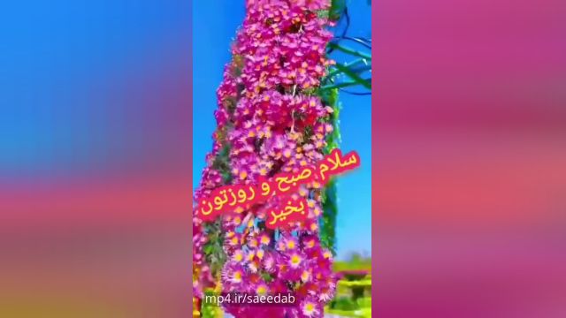 صبح بخیر کوتاه و زیبا برای استوری