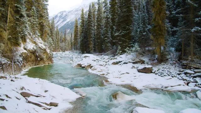 زیبایی زمستانی پارک های ملی کانادا | فیلم طبیعت مناظر زیبای زمستانی