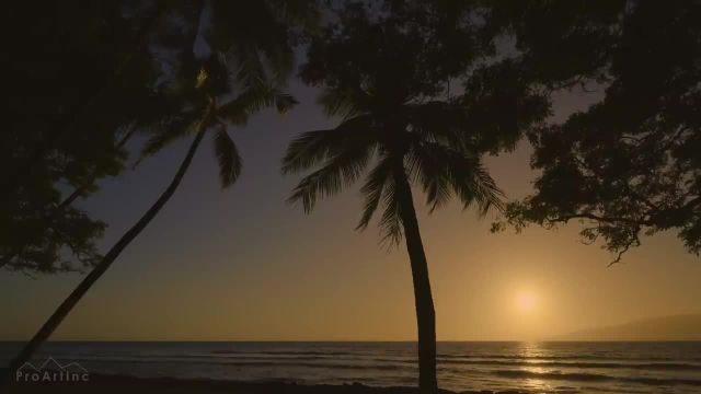 غروب آفتاب ساحل استوایی | 10 ساعت صدای امواج اقیانوس