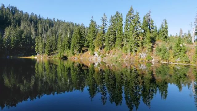 جنگل پاییزی و دریاچه جنگلی جذاب و دیدنی | فیلم طبیعت آرامش بخش