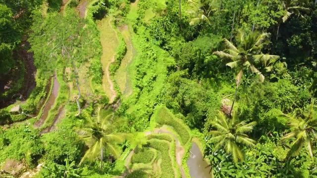بالی از بالا | فیلم هوایی فوق العاده با موسیقی آرامش بخش