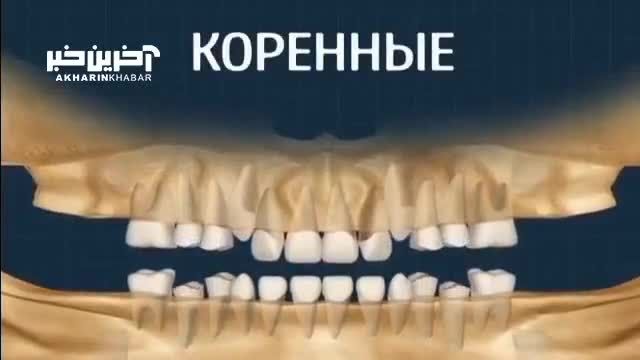 فیلمی که نحوه رشد دندانها در طول عمر را نشان می دهد