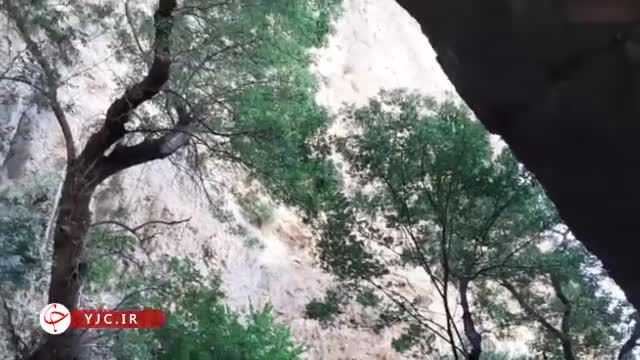 تنگ تامرادی دره ای جنگلی با چندین آبشار، طبیعتی زیبا در یاسوج